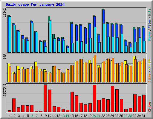 Daily usage for January 2024