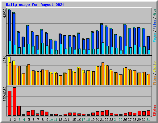 Daily usage for August 2024