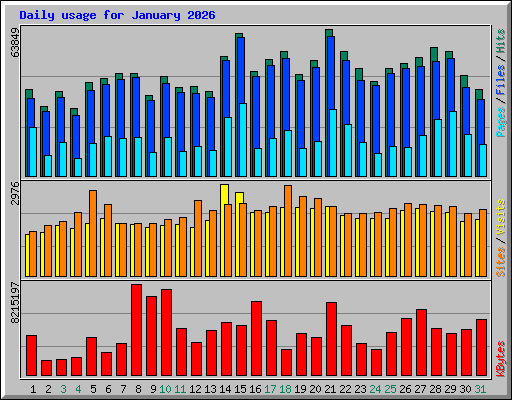 Daily usage for January 2026
