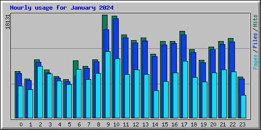 Hourly usage for January 2024