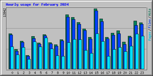 Hourly usage for February 2024