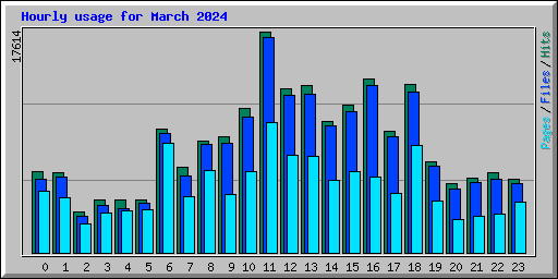 Hourly usage for March 2024