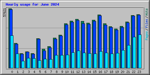 Hourly usage for June 2024