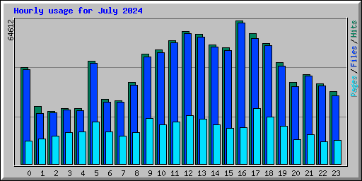 Hourly usage for July 2024