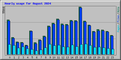 Hourly usage for August 2024