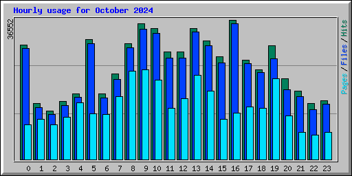 Hourly usage for October 2024