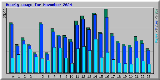 Hourly usage for November 2024