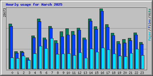 Hourly usage for March 2025