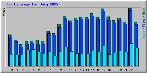 Hourly usage for July 2025