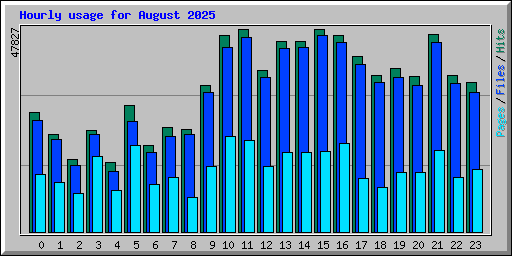 Hourly usage for August 2025