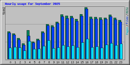 Hourly usage for September 2025
