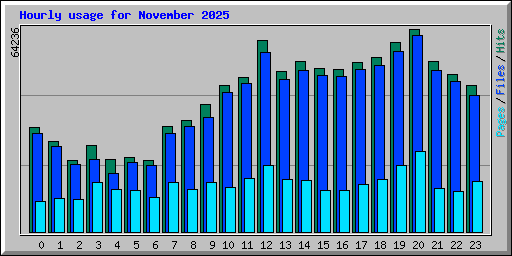 Hourly usage for November 2025