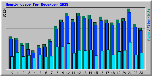 Hourly usage for December 2025