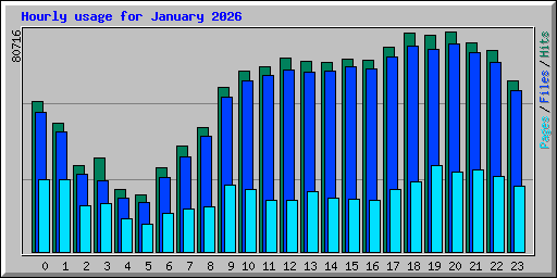 Hourly usage for January 2026