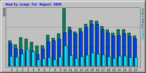 Hourly usage for August 2026