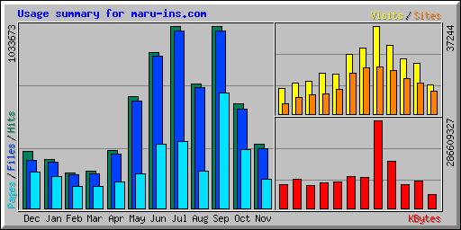 Usage summary for maru-ins.com